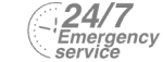 24/7 Emergency Service Pest Control in Orsett, Chafford Hundred, RM16. Call Now! 020 8166 9746