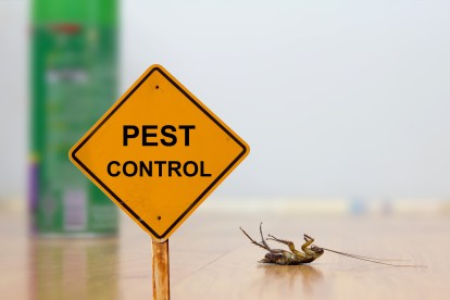Pest Contol in Orsett, Chafford Hundred, RM16. Call Now 020 8166 9746